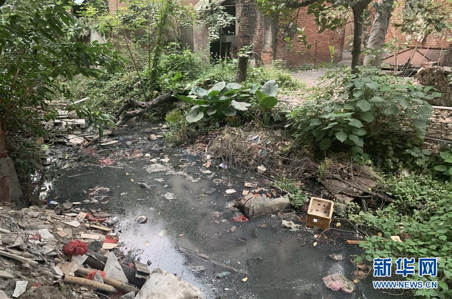 （圖文互動）（1）河長職責(zé)寫得明明白白，條條舉措無一落實——國務(wù)院檢查組暗訪核查佛山一農(nóng)村河涌黑臭十余年無人管理