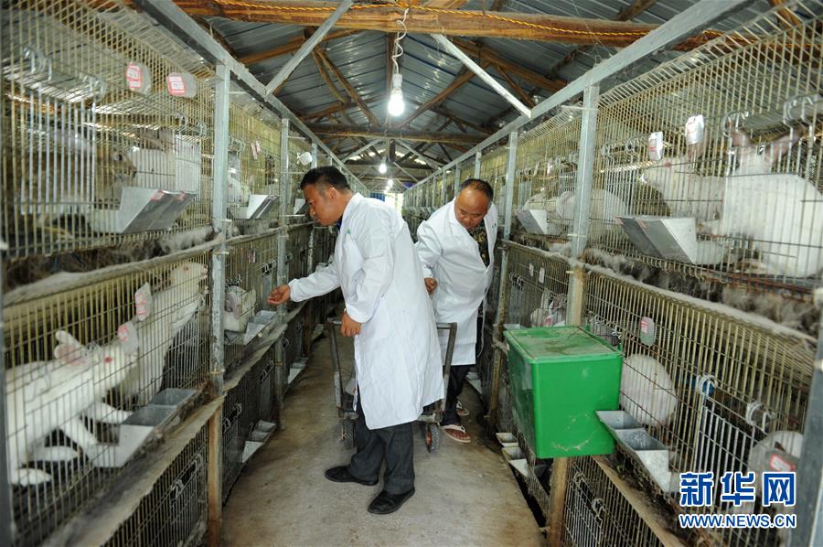 （新華全媒頭條&middot;圖文互動）（4）干部去哪兒了？&mdash;&mdash;貴州干部大規(guī)模下沉脫貧攻堅一線紀實