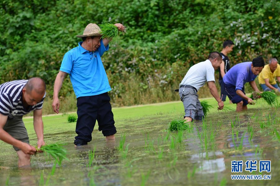 （新華全媒頭條&middot;圖文互動）（8）干部去哪兒了？&mdash;&mdash;貴州干部大規(guī)模下沉脫貧攻堅一線紀實