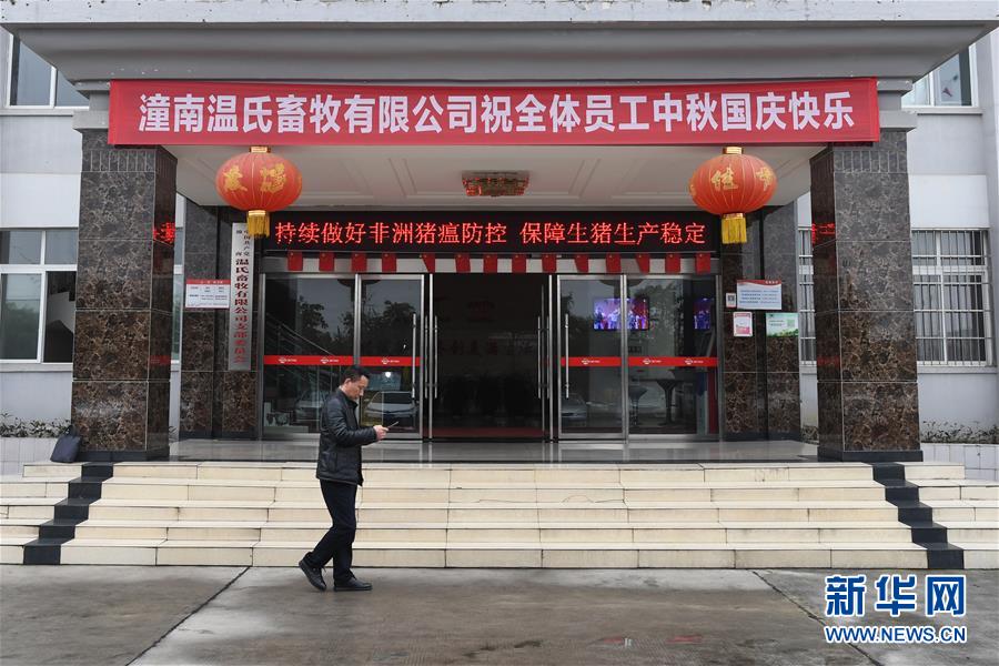 （在習(xí)近平新時(shí)代中國(guó)特色社會(huì)主義思想指引下&mdash;&mdash;新時(shí)代新作為新篇章&middot;總書記關(guān)切高質(zhì)量發(fā)展&middot;圖文互動(dòng)）（1）穩(wěn)住&ldquo;一頭豬&rdquo;、供好&ldquo;一袋米&rdquo;、配好&ldquo;一籃菜