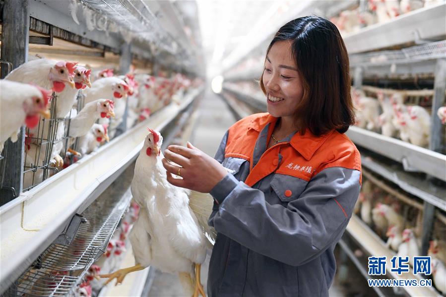 （新華全媒頭條&middot;兩會(huì)特別報(bào)道&middot;圖文互動(dòng)）（6）在推進(jìn)高質(zhì)量發(fā)展中創(chuàng)造廣闊空間&mdash;&mdash;從全國(guó)兩會(huì)看奮進(jìn)中國(guó)的發(fā)展機(jī)遇