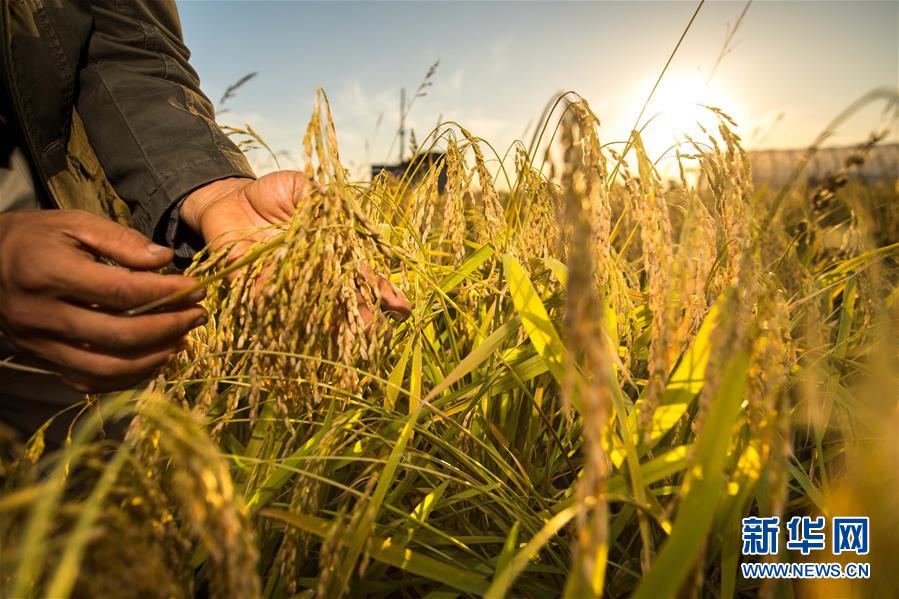 （新華全媒頭條&middot;圖文互動(dòng)）（5）上下同心再出發(fā)&mdash;&mdash;習(xí)近平總書記同出席2019年全國兩會(huì)人大代表、政協(xié)委員共商國是紀(jì)實(shí)