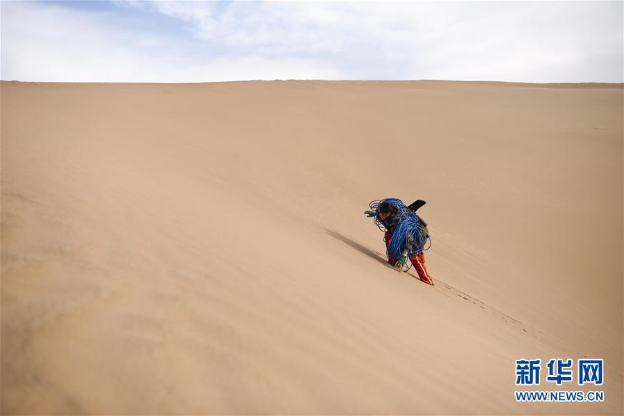 （新春走基層&middot;圖文互動）（3）寒冬里，&ldquo;沙漠玫瑰&rdquo;猶自綻放
