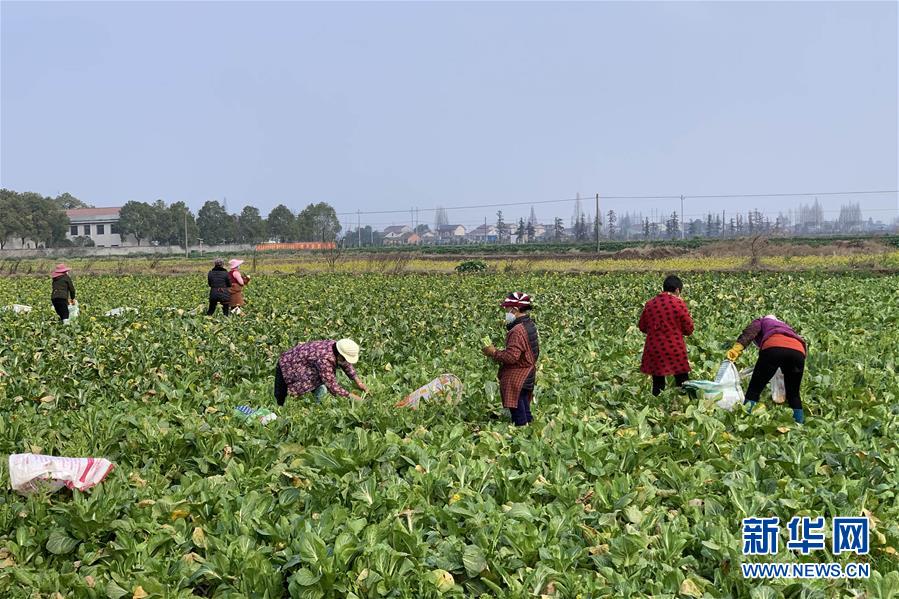 （新華全媒頭條&middot;圖文互動）（4）努力保持生產(chǎn)生活平穩(wěn)有序&mdash;&mdash;抓緊復(fù)工復(fù)產(chǎn)穩(wěn)定經(jīng)濟運行掃描