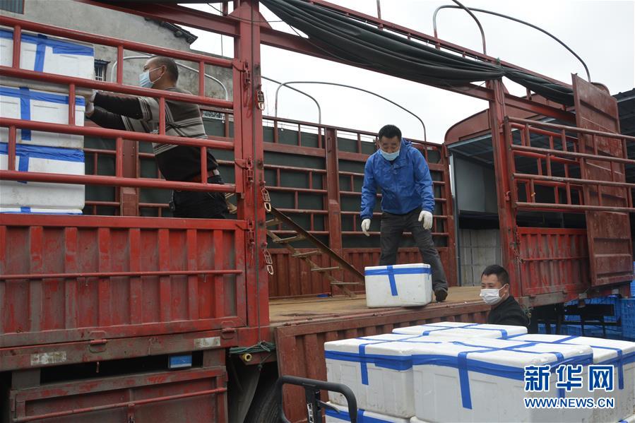 （做好六穩(wěn)工作 應(yīng)對(duì)復(fù)雜局面&middot;圖文互動(dòng)）（3）穩(wěn)住&ldquo;菜籃子&rdquo; 守住&ldquo;好日子&rdquo;