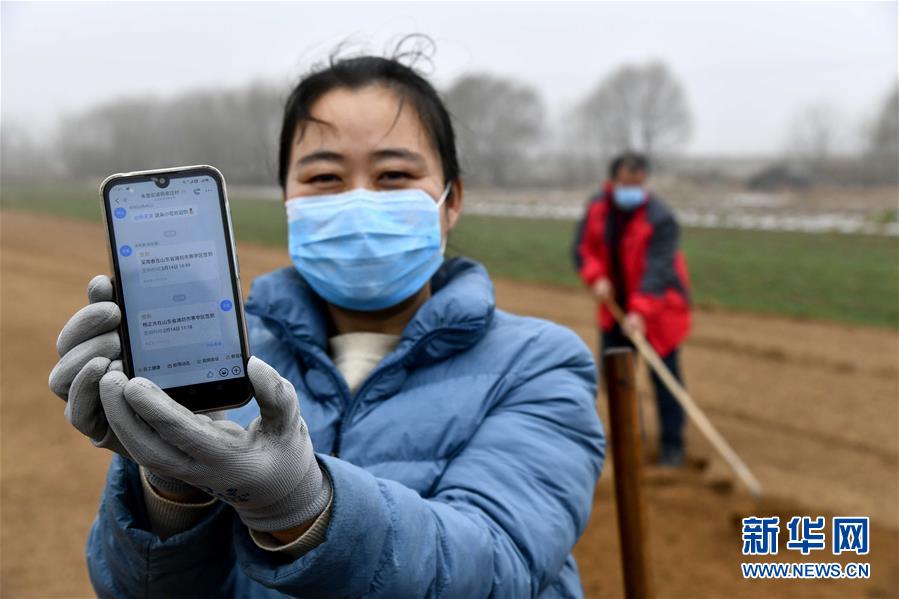 （圖文互動(dòng)）（2）別樣的春耕&mdash;&mdash;來自農(nóng)業(yè)大省山東的春耕備耕見聞