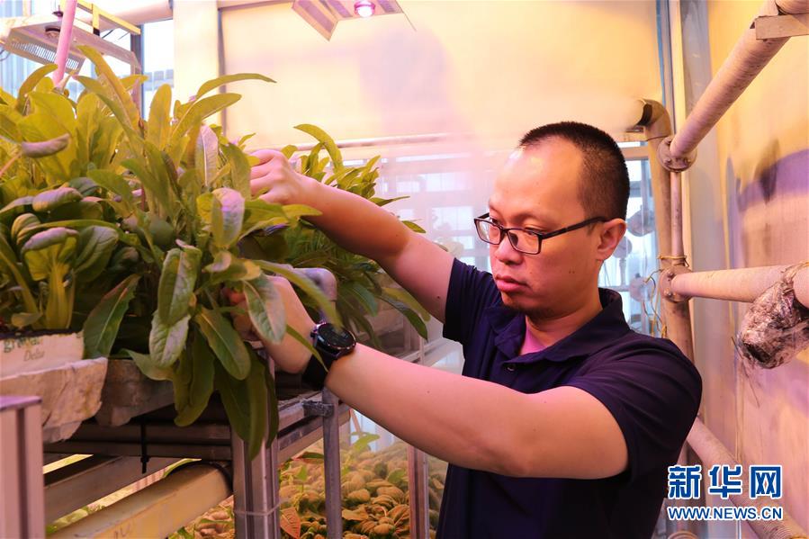 (“雪龍”探南極·圖文互動)(3)記者手記:南極筑“城”記——在長城站讀《中國南極長城站》