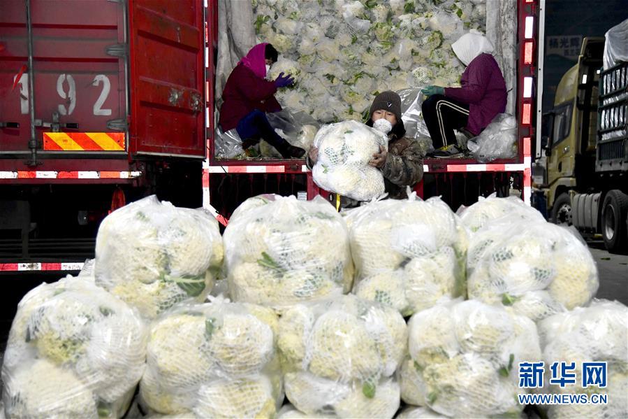 (在習(xí)近平新時(shí)代中國特色社會主義思想指引下——新時(shí)代新作為新篇章·習(xí)近平總書記關(guān)切事·圖文互動)(5)“菜籃子”里的力量——全國各地努力做好保障和改善民生工作在行動
