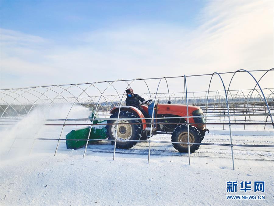 （春耕備耕&middot;圖文互動(dòng)）（2）&ldquo;疫&rdquo;線賽農(nóng)時(shí) 播種新希望&mdash;&mdash;產(chǎn)糧大省黑龍江別樣&ldquo;備耕圖&rdquo;