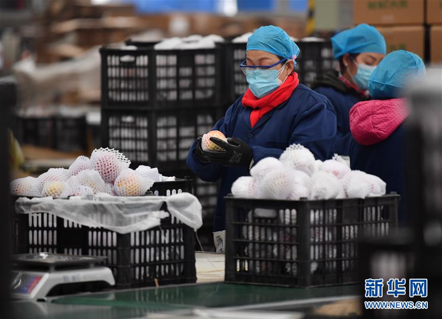 （聚焦疫情防控&middot;圖文互動）（4）&ldquo;一輛輛車出發(fā)，春暖花開的日子就不遠(yuǎn)了&rdquo;&mdash;&mdash;西北電商大縣陜西省武功縣復(fù)工見聞