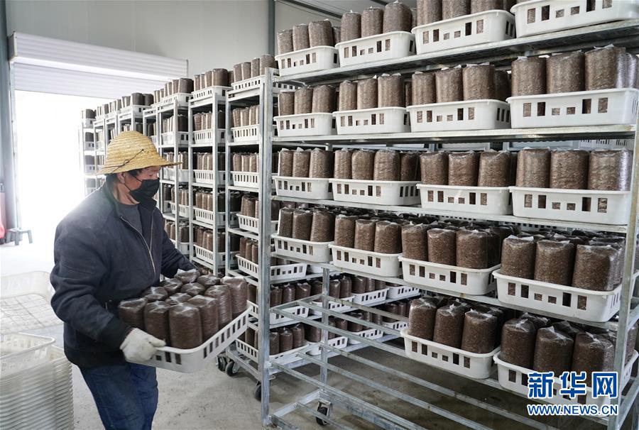 （決戰(zhàn)決勝脫貧攻堅(jiān)&middot;圖文互動(dòng)）（1）秦巴山區(qū)：戰(zhàn)疫戰(zhàn)貧，兩場仗都要打贏