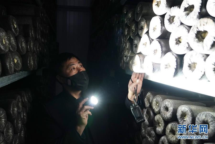 （決戰(zhàn)決勝脫貧攻堅(jiān)&middot;圖文互動(dòng)）（4）秦巴山區(qū)：戰(zhàn)疫戰(zhàn)貧，兩場仗都要打贏