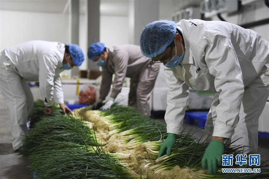 （圖文互動）（6）&ldquo;早一天復(fù)工，損失就少一點&rdquo;&mdash;&mdash;廣西以精準(zhǔn)防控推動復(fù)工復(fù)產(chǎn)一線見聞