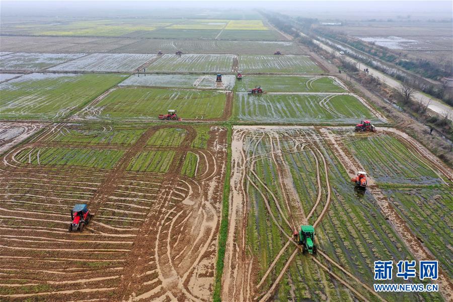 （抓好春耕備耕 穩(wěn)住農(nóng)業(yè)生產(chǎn)&middot;圖文互動(dòng)）（2）智能農(nóng)機(jī)、&ldquo;訂單&rdquo;服務(wù)、&ldquo;云端&rdquo;種菜&mdash;&mdash;來(lái)自江西的春耕&ldquo;新事&rdquo;