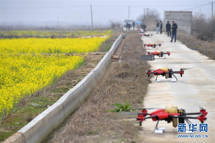 （抓好春耕備耕 穩(wěn)住農(nóng)業(yè)生產(chǎn)&middot;圖文互動(dòng)）（4）智能農(nóng)機(jī)、&ldquo;訂單&rdquo;服務(wù)、&ldquo;云端&rdquo;種菜&mdash;&mdash;來(lái)自江西的春耕&ldquo;新事&rdquo;