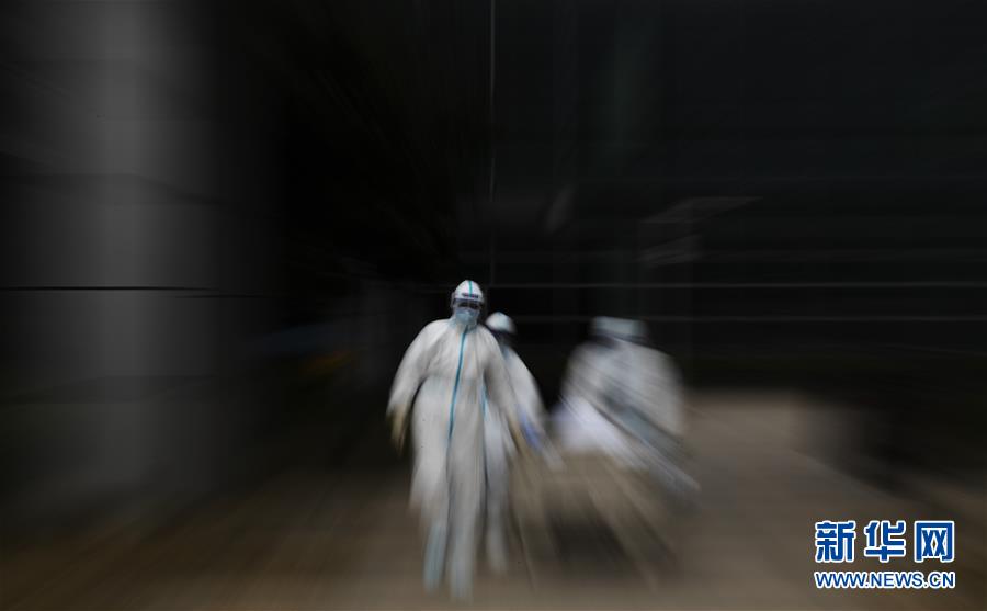 （聚焦疫情防控&middot;圖文互動）（13）這個春天，期待已久