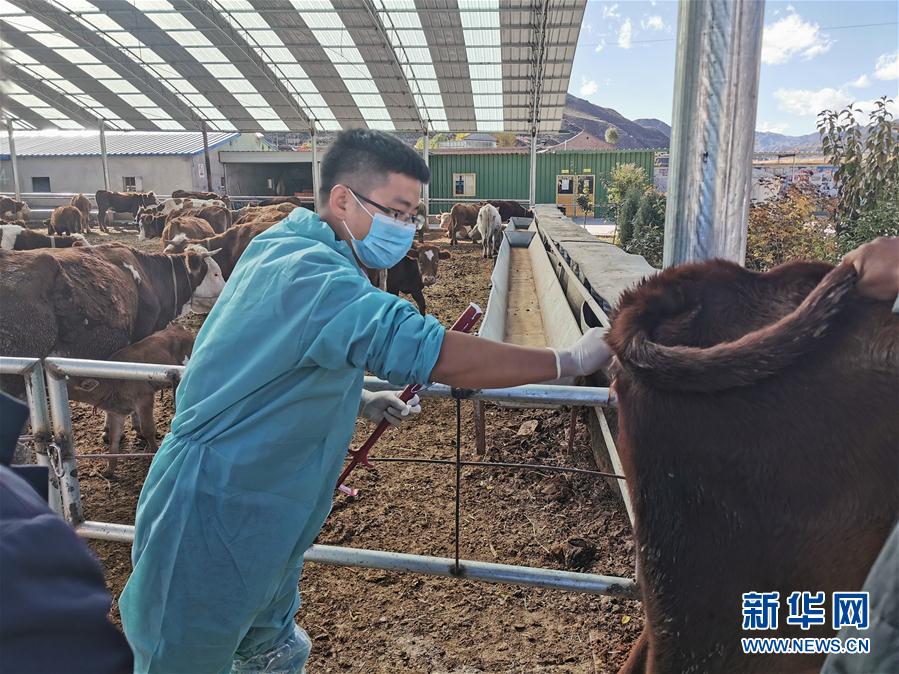 （決戰(zhàn)決勝脫貧攻堅&middot;圖文互動）（2）脫貧&ldquo;不暫停&rdquo; 服務&ldquo;不打烊&rdquo;&mdash;&mdash;天津通過&ldquo;云端&rdquo;幫扶為甘肅受援地區(qū)戰(zhàn)貧繼續(xù)助力