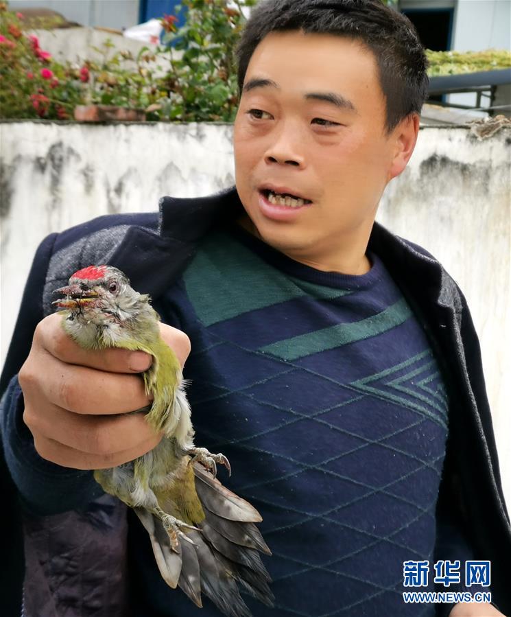 (圖文互動(dòng))(2)夜訪二郎山:中國最美景觀大道上的幸福煩惱