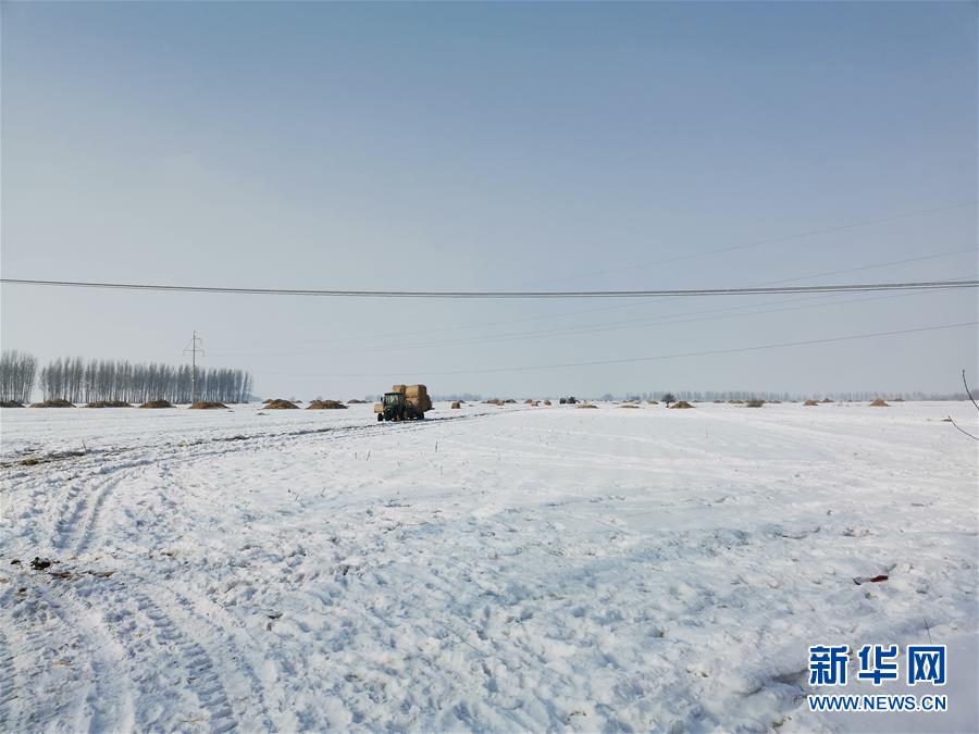 （抓好春耕備耕 穩(wěn)住農(nóng)業(yè)生產(chǎn)&middot;圖文互動(dòng)）（2）土地找&ldquo;管家&rdquo; 線上保春耕&mdash;&mdash;黑龍江省蘭西縣農(nóng)業(yè)生產(chǎn)托管服務(wù)見聞