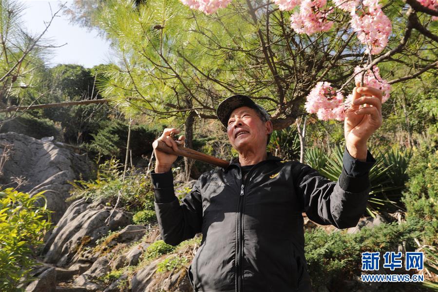 (圖文互動)(1)湖北巴東迎春農(nóng)場春管忙