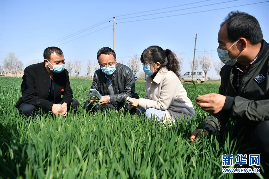 （新華全媒頭條&middot;圖文互動）（8）春色最濃在田間&mdash;&mdash;來自全國春耕備耕的現(xiàn)場觀察