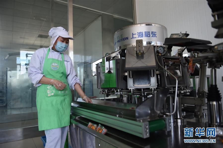 （在習(xí)近平新時(shí)代中國(guó)特色社會(huì)主義思想指引下&mdash;&mdash;新時(shí)代新作為新篇章&middot;習(xí)近平總書記關(guān)切事&middot;圖文互動(dòng)）（8）穩(wěn)住千家萬(wàn)戶的&ldquo;飯碗&rdquo;&mdash;&mdash;各地積極穩(wěn)就業(yè)化解疫情影響