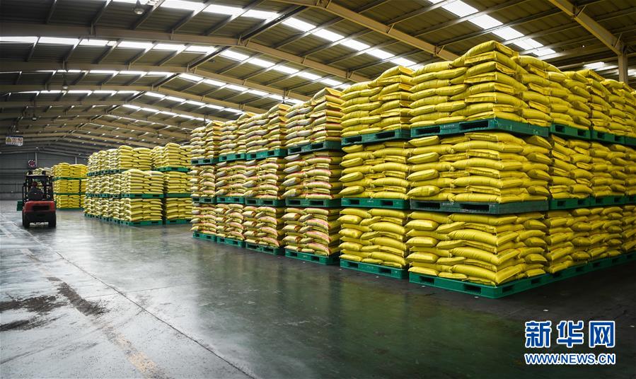 (新華全媒頭條·圖文互動)(3)在艱難中重啟 在陣痛中復(fù)蘇——湖北推動安全有序復(fù)工復(fù)產(chǎn)掃描