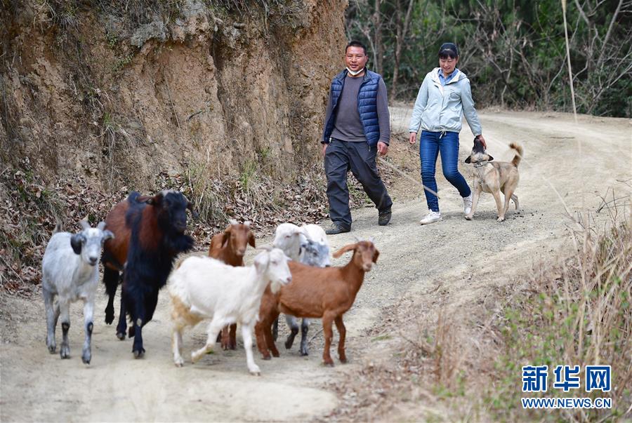 (新華全媒頭條·圖文互動(dòng))(7)奔向新的幸福——陜西貧困縣全部摘帽的N個(gè)截面