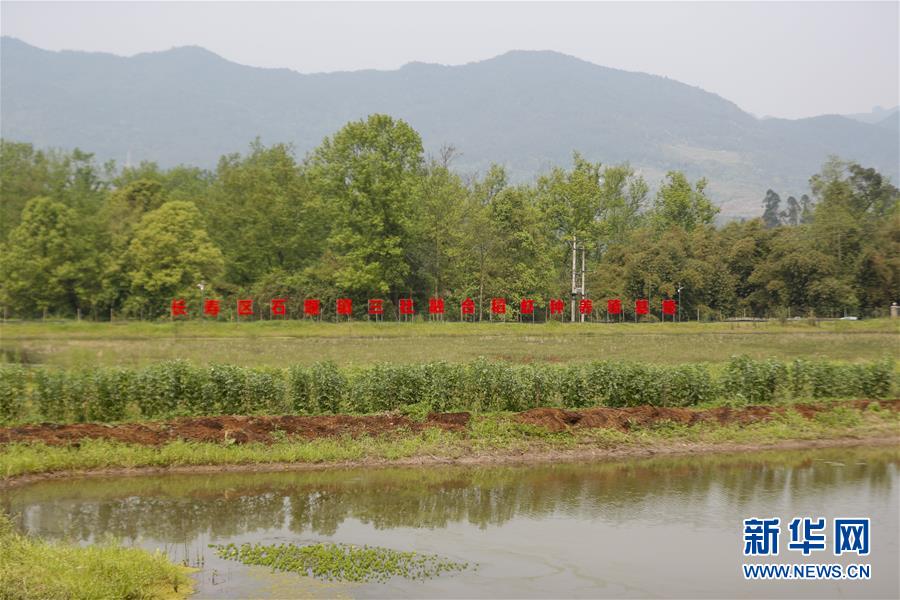 （圖文互動）（2）疏通產業(yè)鏈堵點 保障“菜籃子”供應——重慶養(yǎng)殖大區(qū)力促養(yǎng)殖業(yè)補損復產