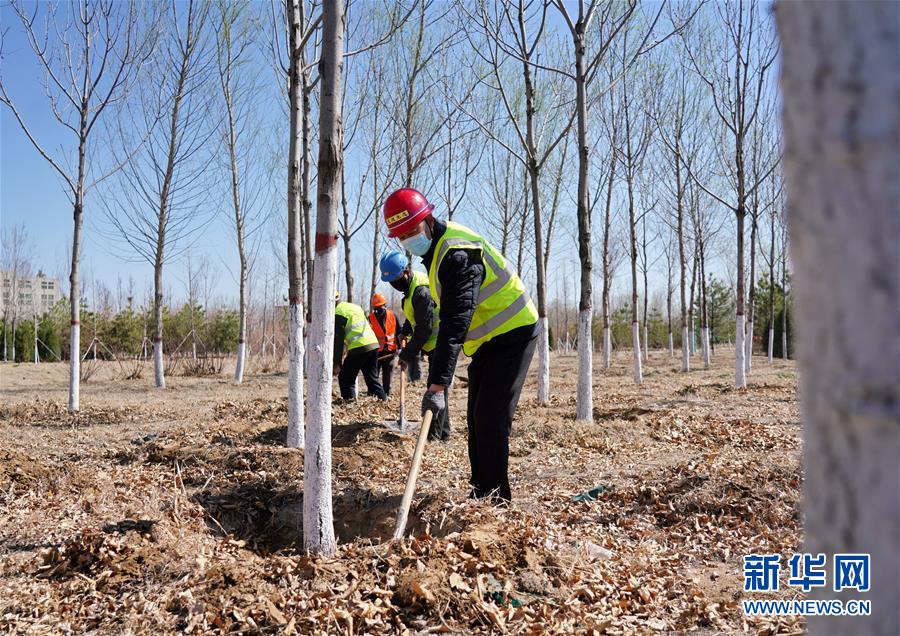(新華全媒頭條·圖文互動)(8)雄安畫卷徐徐鋪展 “未來之城”蓄勢待發(fā)——雄安新區(qū)設(shè)立三周年巡禮