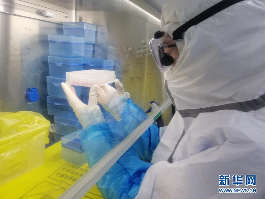 （一線抗疫群英譜&middot;圖文互動(dòng)）（2）&ldquo;95后&rdquo;大學(xué)生郝鶯歌：退掉車票，她選擇直面病毒