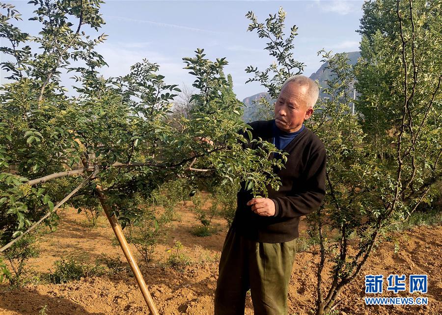 （新華全媒頭條&middot;圖文互動(dòng)）（5）春天里的5個(gè)&ldquo;戰(zhàn)貧&rdquo;瞬間&mdash;&mdash;習(xí)近平總書(shū)記關(guān)于脫貧攻堅(jiān)決策部署指引攻克最后的深貧堡壘