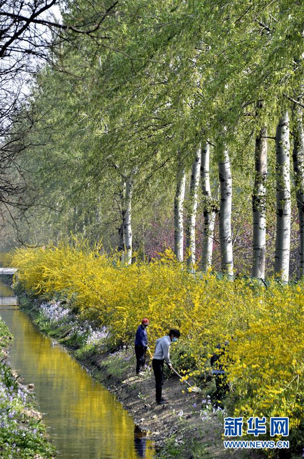 （新華全媒頭條&middot;圖文互動(dòng)）（4）永遠(yuǎn)的夢(mèng)想 永恒的追求&mdash;&mdash;寫在北京世園會(huì)開幕一周年之際