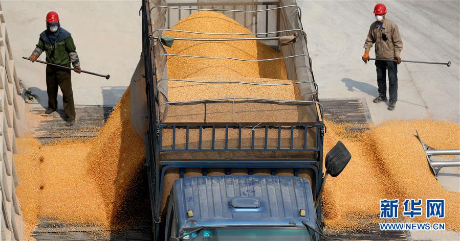 （在習(xí)近平新時(shí)代中國(guó)特色社會(huì)主義思想指引下&mdash;&mdash;新時(shí)代新作為新篇章&middot;習(xí)近平總書(shū)記關(guān)切事&middot;圖文互動(dòng)）（7）春耕忙 信心足&mdash;&mdash;谷雨時(shí)節(jié)走馬東北直擊糧事