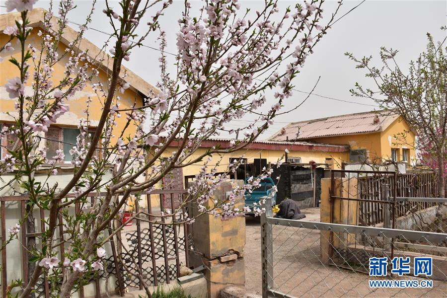 （圖文互動(dòng)）（1）&ldquo;桃花源&rdquo;里話豐年 &mdash;&mdash;帕米爾山區(qū)一處扶貧搬遷點(diǎn)見(jiàn)聞
