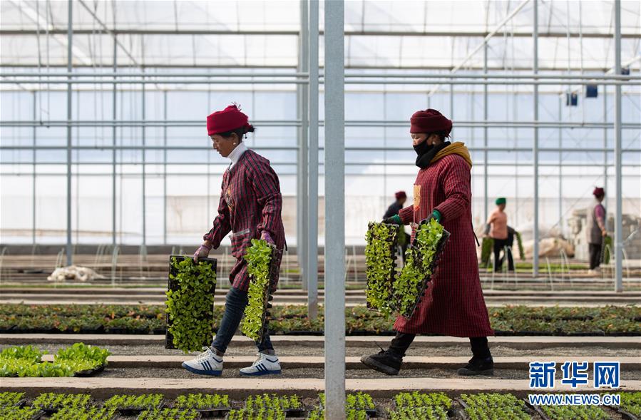 （新華全媒頭條&middot;圖文互動）（9）踐諾大涼山