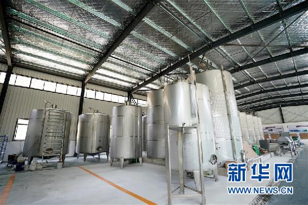 （決戰(zhàn)決勝脫貧攻堅&middot;圖文互動）（5）西藏昌都&ldquo;甜蜜&rdquo;產(chǎn)業(yè)助脫貧