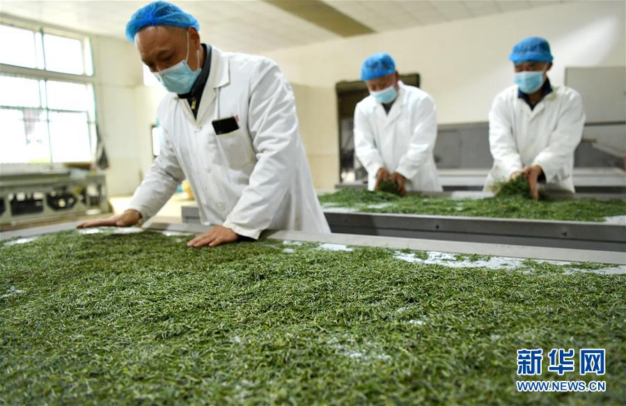 （新華全媒頭條&middot;圖文互動）（22）從人民中汲取磅礴力量&mdash;&mdash;習近平總書記同出席2020年全國兩會人大代表、政協(xié)委員共商國是紀實