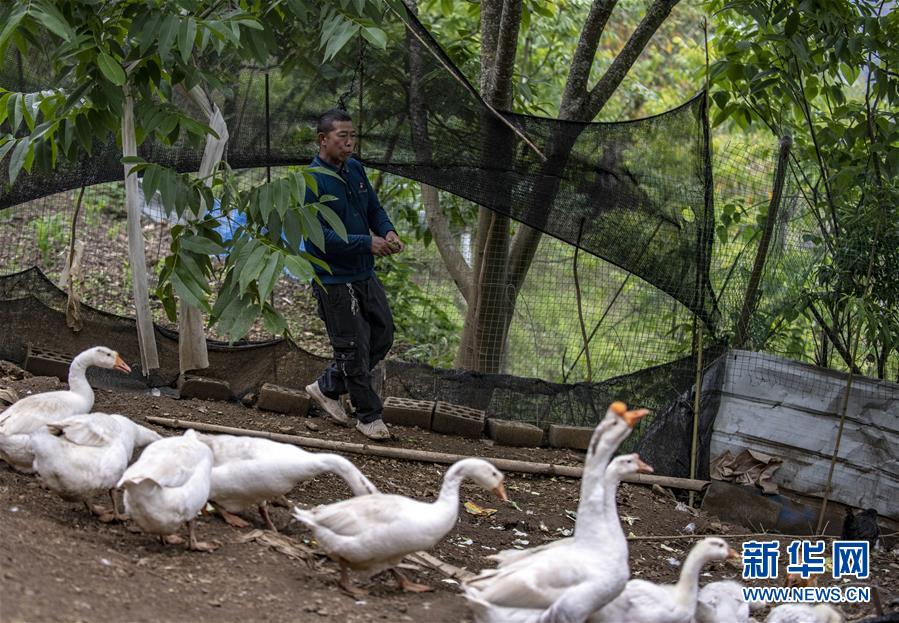 (新華全媒頭條·兩會(huì)精神看落實(shí)·圖文互動(dòng))(8)培育新機(jī) 開(kāi)辟新局——落實(shí)全國(guó)兩會(huì)精神激發(fā)經(jīng)濟(jì)發(fā)展新動(dòng)能述評(píng)