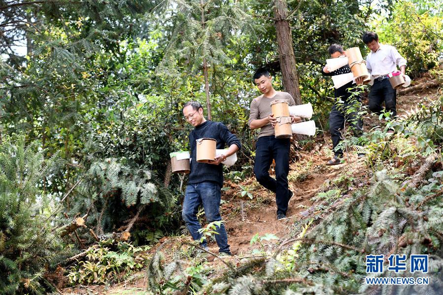 (決戰(zhàn)決勝脫貧攻堅(jiān)·圖文互動(dòng))(1)“小蜂王”的大夢想