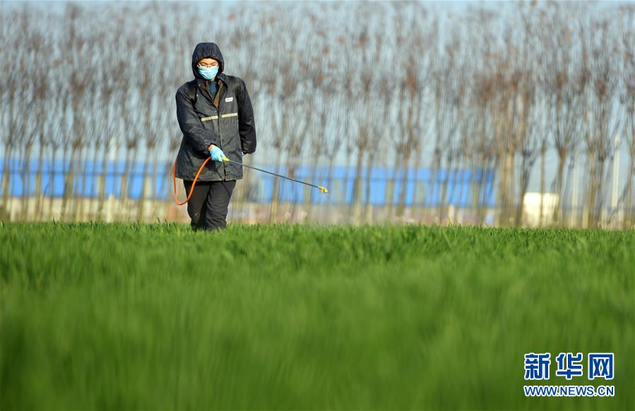 （新華全媒頭條&middot;圖文互動(dòng)）（7）庚子之豐&mdash;&mdash;2020年河南夏糧豐收?qǐng)D景