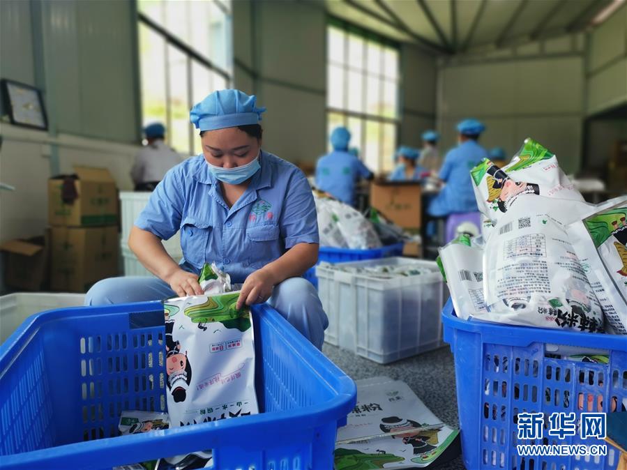 （決戰(zhàn)決勝脫貧攻堅&middot;圖文互動）（2）貴州思南：發(fā)展&ldquo;紅薯經濟&rdquo;助脫貧