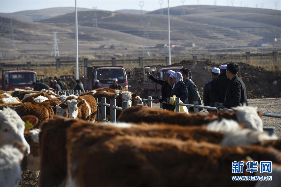 (在習(xí)近平新時(shí)代中國(guó)特色社會(huì)主義思想指引下——新時(shí)代新作為新篇章·習(xí)近平總書記關(guān)切事·圖文互動(dòng))(2)六盤山下的誓言——來(lái)自寧夏的脫貧故事