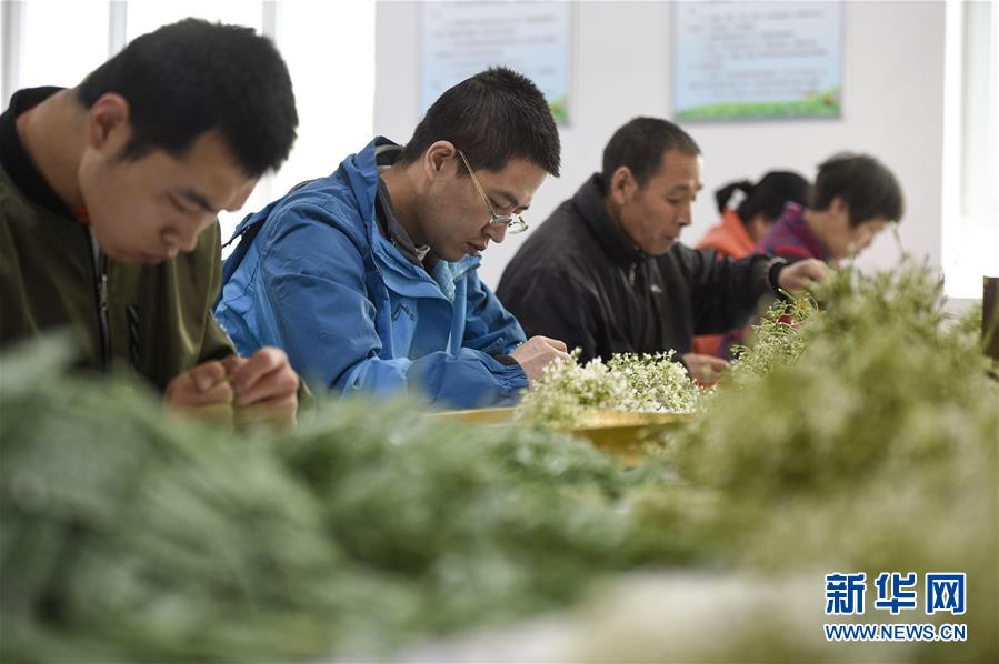 (在習(xí)近平新時(shí)代中國(guó)特色社會(huì)主義思想指引下——新時(shí)代新作為新篇章·習(xí)近平總書記關(guān)切事·圖文互動(dòng))(5)六盤山下的誓言——來(lái)自寧夏的脫貧故事