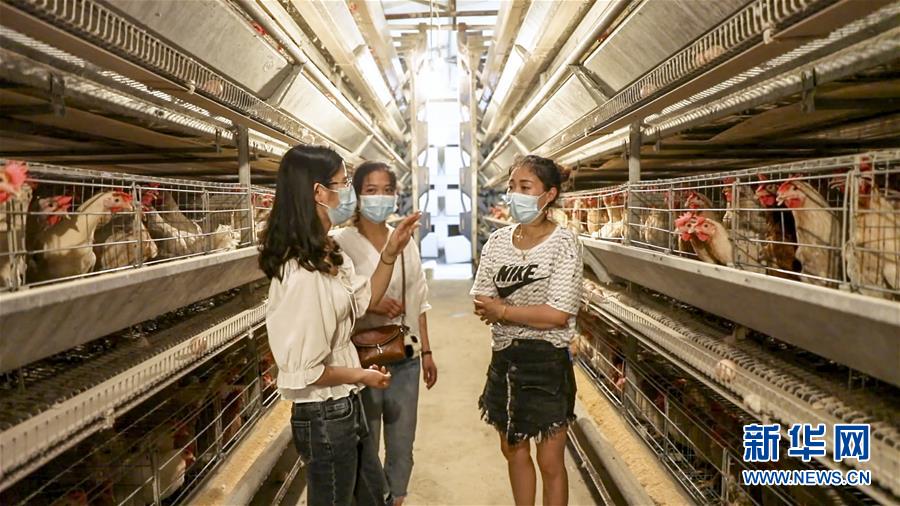 (新華全媒頭條·圖文互動)(4)基層天地廣闊 青春大有作為——聚焦“三支一扶”計劃實施十五年