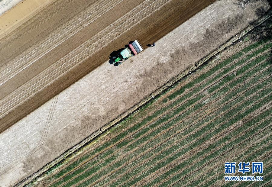 (新華全媒頭條·圖文互動)(11)中國北斗 服務(wù)全球——寫在我國完成北斗全球衛(wèi)星導航系統(tǒng)星座部署之際