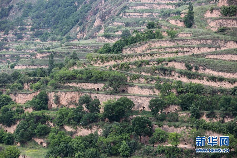 （決戰(zhàn)決勝脫貧攻堅&middot;圖文互動）（5）魚漁兼授 志智雙扶&mdash;&mdash;窮溝溝&ldquo;菜富記&rdquo;