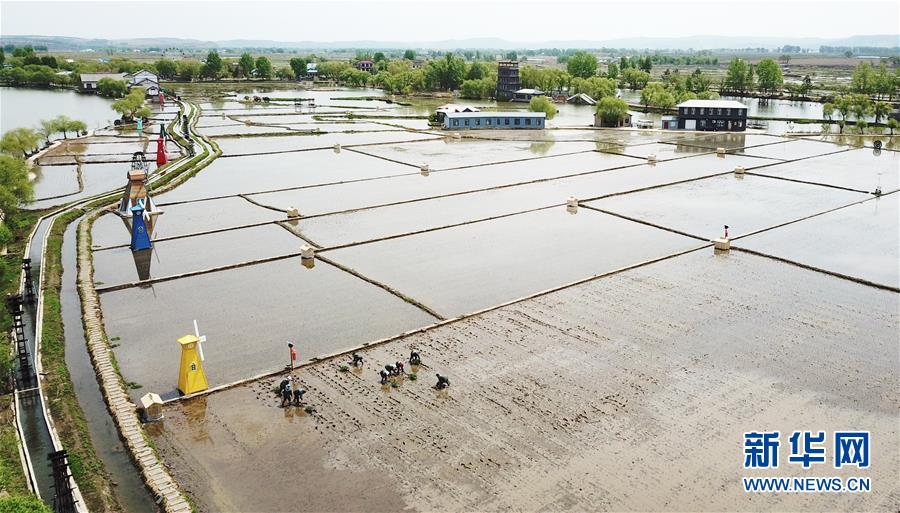 (在習(xí)近平新時代中國特色社會主義思想指引下——新時代新作為新篇章·習(xí)近平總書記關(guān)切事·圖文互動)(1)讓每一寸耕地都成為豐收的沃土——我國加強耕地保護推進(jìn)“藏糧于地”