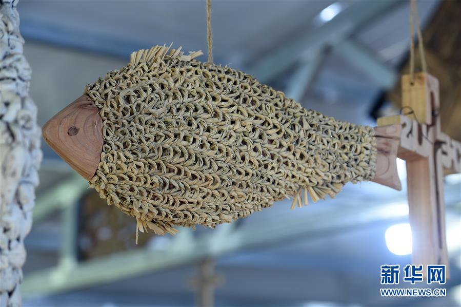  （新華全媒頭條·圖文互動）（6）青春，在希望的田野上——大別山區(qū)尋訪“城歸”大學(xué)畢業(yè)生