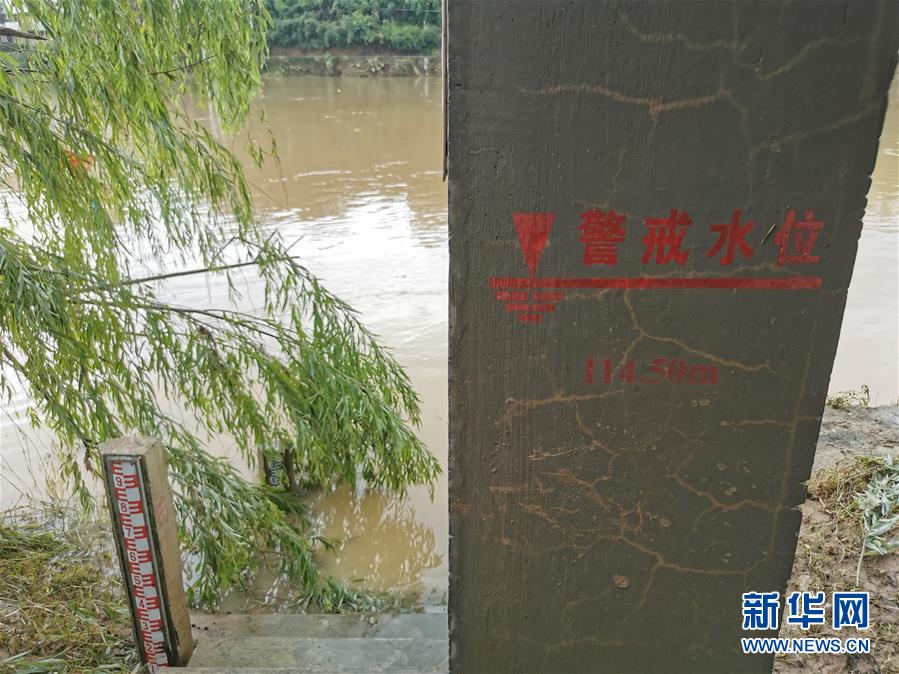 (防汛抗洪·圖文互動)(1)暴雨洪峰中的“瞭望者”